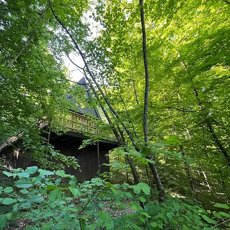 Chaton Chalet